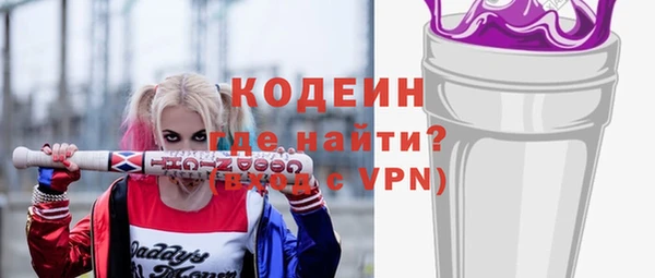apvp Вяземский