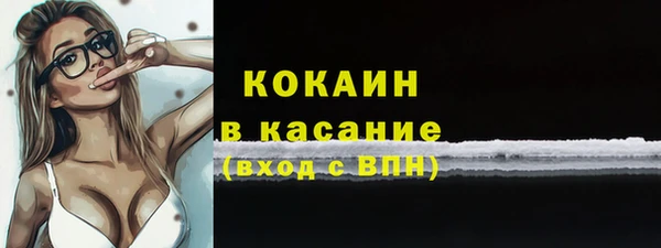 apvp Вяземский