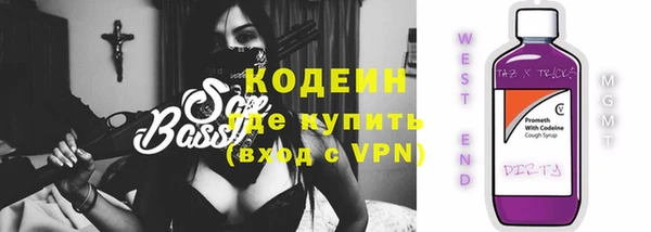 apvp Вяземский