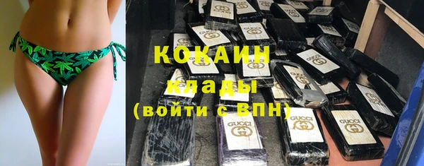 apvp Вяземский